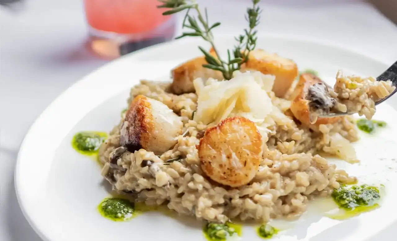 plate of seared scallops on risotto